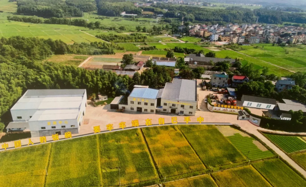jiangshan empowering smart rice productior through intergrated iot solutions
